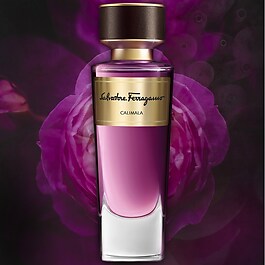 Tuscan Creations CALIMALA - Woda perfumowana